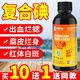 眾漁樂(lè )生物復合碘溶液水產(chǎn)養殖聚維酮碘消毒液魚(yú)蝦蟹出血腐皮爛身殺菌消毒劑 復合碘500ml