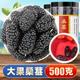 聚和泰新疆桑葚?zé)o沙大果500g精選特級桑椹干果即食男腎黑桑葚枸杞子泡水泡酒養(yǎng)生茶 【精選大號】桑葚干500克（共2罐）