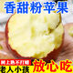 陜西老樹(shù)秦冠粉蘋(píng)果粉面沙甜老人小孩刮泥當季蘋(píng)果水果批發(fā)一整箱 人工精選:帶箱9-10斤 大果