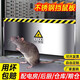 富格仕不銹鋼擋鼠板防鼠板門(mén)檔廚房配電室檔鼠板酒店倉(cāng)庫(kù)不銹鋼防鼠擋板 長(zhǎng)（70cm-90cm）高40厘米