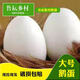 魯耘純天然正宗單黃大鵝蛋批發(fā)新鮮散養(yǎng)鮮鵝蛋孕婦兒童超值熱銷包郵 12個(gè)裝138克以上 農(nóng)家散養(yǎng)新鮮土鵝蛋熱賣促銷中