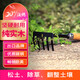 沃施園藝工具五齒耙種植鐵耙子兒童趕海工具翻整松土釘耙鋤頭農具
