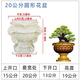 靈臺(tái)山水泥花大象蝴蝶花盆模具圓形扇形盆景圓形盆栽塑料模型現(xiàn)澆 20圓形【底部灌漿】