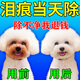瑞美貝狗狗淚痕去除液比熊泰迪博美犬寵物眼藥水清潔去眼屎流淚滴眼液 一瓶裝