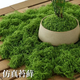 美外仿真青苔絲狀苔蘚人造裝飾仿真綠植假草皮微景觀(guān)手工造景花盆鋪面 深綠色絲狀仿青苔 31g  約鋪設0.09平方