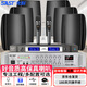 先科（SAST）P40壁掛式音響套裝音箱喇叭300W功放店鋪商用工程會(huì )議家用餐廳公共廣播背景音樂(lè )一拖六升級麥