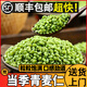 綠采鮮應(yīng)季新鮮青麥仁煮粥去皮青小麥五谷雜糧河南農(nóng)家正宗麥子青麥粒米 青麥仁 400g*5袋