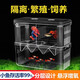 冀魚魚缸孵化盒孔雀魚繁殖盒斗魚亞克力隔離盒熱帶魚產(chǎn)卵小魚寶寶 雙房特大號【18*9*16cm】