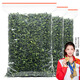 印象堂 特級原產(chǎn)鐵觀音500g2025新茶清香型精美袋裝烏龍茶禮品自己喝