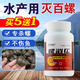 帝樂奇螺消樂滅螺殺螺藥劑水產(chǎn)養(yǎng)殖專用水草池塘除螺福壽螺田螺蝸牛貝類 【強(qiáng)效滅螺】250g/1瓶
