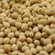 時(shí)茂黃豆種原種特大籽優(yōu)質(zhì)農(nóng)家特大黃豆種子中晚熟大豆菜毛豆種子 特大粒120天黃豆種3斤【原種】