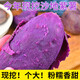 紫薯新鮮農家自種沙地板栗紅薯香甜紫羅蘭蜜薯糖心甜山芋 5斤 中果