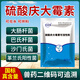 佰泰康獸用硫酸慶大霉素可溶性粉雞禽腹瀉腸炎拉稀止痢抗菌消炎正品獸藥 1袋