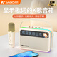 山水（SANSUI）V3戶(hù)外K歌音響麥克風(fēng)小型拉卡OK一體機無(wú)線(xiàn)藍牙兒童話(huà)筒家庭ktv歌詞顯示音箱 【單話(huà)筒】