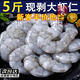蝦仁冷凍真空包裝特大蝦仁去蝦線(xiàn)蝦仁青蝦仁非無(wú)冰 無(wú)冰特 凈重200g/包（包冰無(wú)冰混發(fā)） 5斤5包 【真空去蝦線(xiàn)】大青蝦仁