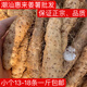 潮汕正宗惠來(lái)農產(chǎn)品姜薯新鮮現挖現發(fā)帶皮發(fā)貨好吃小個(gè)一斤包郵