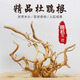 逸樂寵杜鵑根魚缸造景沉木免煮枝條樹森林天然爬寵樹枝攀爬樹形擺件棲根 杜鵑根枝條20-30cm10根