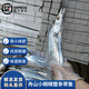 沢素灣舟山小眼釣帶魚(yú) 雷達網(wǎng)無(wú)骨粒東海油帶魚(yú)大號刀魚(yú)送禮盒 舟山小眼帶魚(yú)4條（8兩-1斤/條） 鮮凍帶魚(yú)