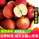 鮮其南非冰糖小蘋(píng)果脆甜多汁富士野生迷你蘋(píng)果新鮮迷你加力牛頓小蘋(píng)果 60mm以下 2500g