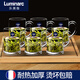 樂(lè )美雅（Luminarc）法國樂(lè )美雅耐熱鋼化玻璃杯子家用茶杯帶把水杯大容量泡茶杯加厚綠 班尼450ml【六支】+竹盤(pán)