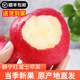 靜寧蘋果【順豐包郵】甘肅紅富士蘋果水果新鮮時令應(yīng)季整箱現(xiàn)摘孕婦水果 凈重12斤果徑80-85mm約24枚大果