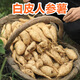 豫薯香（yushuxiang）白皮牛奶人參紅薯 新鮮白薯沙地自種小地瓜白瓤白肉白心板栗番薯 5斤白皮人參薯【大果4兩以上】