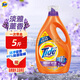 汰漬Tide洗衣液薰衣草熏香機洗深層去污去漬家庭大容量瓶裝超值裝 淡雅薰香2.5kg
