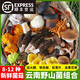 新鮮云南野生菌菇組合【順豐空運(yùn)】見(jiàn)手青羊肚菌牛肝菌蘑菇松茸 新鮮雜菌組合 種植菌+少數(shù)野生菌 500g【順豐空運(yùn)】