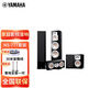 雅馬哈（YAMAHA）NS-777家庭影院套裝家用落地音箱高端影院落地5聲道五件套音響套裝 HIFI 進(jìn)口 NS-777套裝