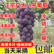 陜西正宗戶(hù)太八號葡萄新鮮采摘整串發(fā)貨冷鏈運輸禮盒整箱包郵 5斤(2-4串）