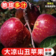 探味君 大涼山丑蘋果 應(yīng)當(dāng)季時令新鮮水果現(xiàn)摘脆甜紅富士冰糖心 生鮮 凈重5斤（單果60mm+）迷你果