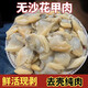 無殼無沙蛤蜊肉花甲肉文蛤貝殼肉海產(chǎn)無沙黃蜆子新鮮水產(chǎn) 2包【精選蛤蜊肉】 1000g