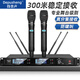 depusheng DA188無(wú)線(xiàn)麥克風(fēng)一拖二防嘯叫真分集話(huà)筒300米接收帶均衡舞臺演出家庭ktv婚禮慶典會(huì )議工程 300米真分集舞臺麥克風(fēng)（手持款）