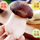 美饌軒新鮮赤松茸姬松茸松茸菌 順豐冷鏈速(非干貨）（美饌軒--日日鮮） 赤松茸900g