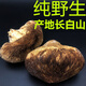 品吉味正宗長(cháng)白山猴頭菇  松茸 250克 東北特產(chǎn) 2025 山珍菌菇干貨 煲湯 野生猴頭菇250g
