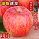 十里饞山西紅富士蘋(píng)果10斤新鮮水果應(yīng)當(dāng)季脆甜丑萍果嘎啦冰糖心整箱 5斤 90mm(含)-95mm(不含) 【特大果】