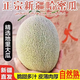 正宗新疆哈密瓜西周蜜25號網(wǎng)紋蜜瓜甜瓜孕婦當(dāng)季水果網(wǎng)紋蜜瓜WW 3斤