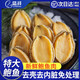 藍湃新鮮熟凍鮑魚肉大鮑魚 三去免處理去齒去內(nèi)臟純鮑魚肉 貝類海鮮 嘗鮮鮑魚肉175g 共8粒 送殼