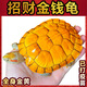 純正金錢(qián)烏龜招財稀有觀(guān)賞正宗黃金龜魚(yú)缸深水吃菜龜寵物烏龜活物 10—12厘米 （顏色好看） 2只情侶裝（送龜糧+養殖手冊）