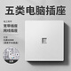 LSNUO網(wǎng)線(xiàn)插座面板雙位網(wǎng)口面板六類(lèi)千兆網(wǎng)線(xiàn)插座面板電視電話(huà)二合一 【五類(lèi)】單電腦插座*白色