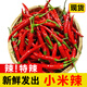 辰實(shí)【現(xiàn)摘】四川小米辣 新鮮紅辣椒 朝天椒 做泡椒 5斤