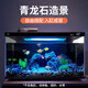 畫(huà)法幾何魚(yú)缸造景青龍石套餐魚(yú)缸假山石頭觀(guān)賞石擺件天然創(chuàng  )意石塊造景材料 用適50-60魚(yú)缸【5kg】