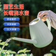 天丂澆水壺長(cháng)嘴澆花壺灑水壺家用大容量塑料灑水壺2升花灑噴壺 長(cháng)嘴灑水壺【薄荷綠2L】