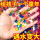 超大霸王珠泡大珠海綿寶寶吸水珠養(yǎng)花水培珠水寶寶水晶泥 【2000顆】 無規(guī)格