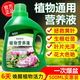 濃縮通用型植物營養(yǎng)液養(yǎng)花卉市場(chǎng)花大全綠蘿化肥料多肉盆栽富貴竹 植物通用營養(yǎng)液 500ml 2瓶