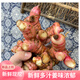 麗雯2025新鮮老南姜野山生姜頭鹵水調(diào)料冬蔭功調(diào)料廣東茂名潮汕 南姜1斤