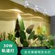 JJTOOP全光譜軌道植物專用補光燈室內(nèi)模擬太陽光燈魚缸綠植生長燈日光燈 A款-30W-5000K日光（軌道需另拍)