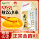 赤川新米敖漢黃小米金苗k1（內(nèi)蒙古赤峰小米粥雜糧粥4斤）蒸飯更軟糯