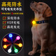 冇寵高亮USB充電寵物發(fā)光吊墜夜間狗狗防丟飾品LED發(fā)光狗牌戶外警示燈 橙色充電款