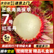 天涯尋鮮正宗海南保亭紅毛丹7號果 當(dāng)季新鮮特色水果毛荔枝 甜蜜多汁 送禮 7號果 現(xiàn)摘現(xiàn)發(fā) 禮盒大果2斤【約20顆】【順豐空運】